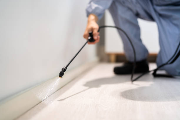 Licensed Termite Control service in Logan, OH - Nex Pest Control