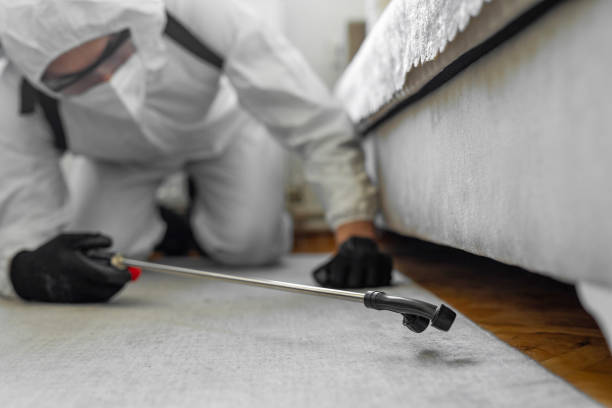 Professional Termite Control technician working in Logan, OH