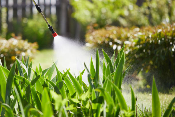 24/7 Emergency Termite Control experts in Logan, OH