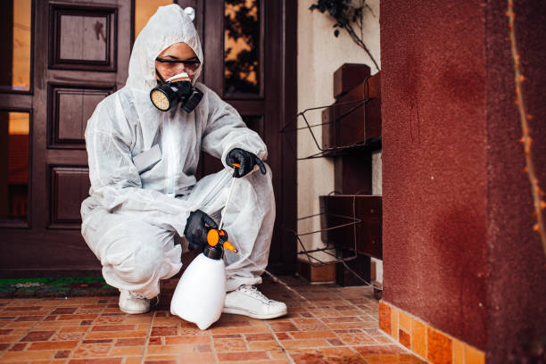 Reliable Termite Control contractor in Logan, OH by Nex Pest Control
