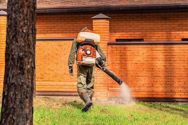 Top rated local Termite Control specialists in Logan, OH